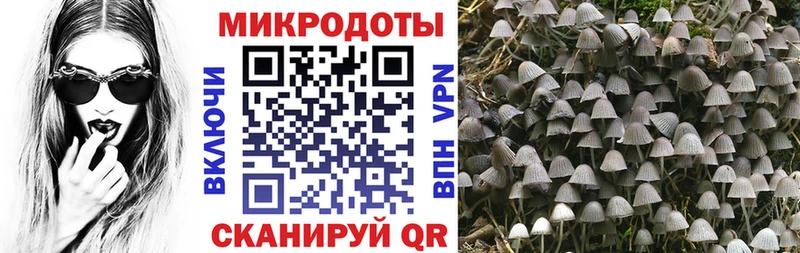 Псилоцибиновые грибы прущие грибы  Купить закладки  Дрезна 